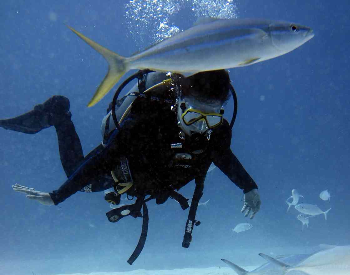 Learn Scuba Diving from Tyndis 
